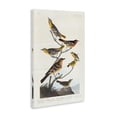 thumbnail image 3 of Stupell Industries Rustic Lodge Canvas Art, 30 x 45, by one1000paintings, 3 of 8