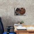 thumbnail image 4 of Epic Graffiti 'Ammonite Spiral' by Elena Ray, Canvas Wall Art, 18"x12", 4 of 8