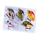 thumbnail image 2 of 5 señuelos de pesca artificiales de 1,5 g con caja. Estilo D, 2 of 8