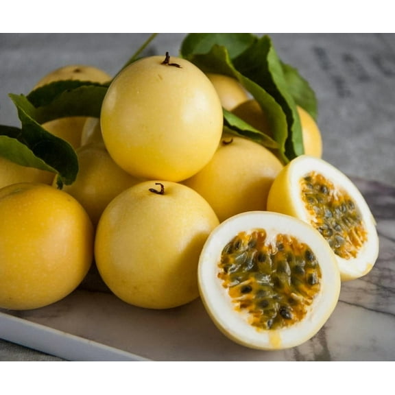 Yellow Passion Fruit Plant 4-7" Tall for Planting, Climbing Vine Fruit Plant Live, Passionfruit Vine Live Plant, Sweet Tropical Fruit Plant