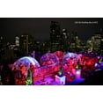 thumbnail image 5 of Garden Igloo - 12' Walk-In Garden Dome Igloo, 5 of 10