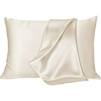 Wonderful 22 Momme Mulberry Silk Pillowcase, 100% Pure Silk Pillowcase