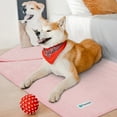 thumbnail image 5 of PetAmi Waterproof Dog Blanket, Leakproof Puppy Blanket for Medium Large Dogs, Furniture Sofa Couch Cover Protector, Fleece Pet Throw for Indoor Cat Kitten, Reversible Washable Soft Plush, 40x60 Pink, 5 of 7