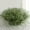 Dark Green,35cm, variant on Vnanda 10Branchs Artificial Plants Outdoor, UV Resistant Fake Grass Outdoor Plants, Plastic Wheat Grass Artificial Greenery Shrubs