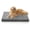 Charcoal Grey, variant on U By Bedsure ComfyFleece Dog Bed Medium Size Dog - Orthopedic Pet Beds with Removable Washable Cover, NOT Waterproof Egg Crate Foam Puppy Mat, 29"x18"x2.8"