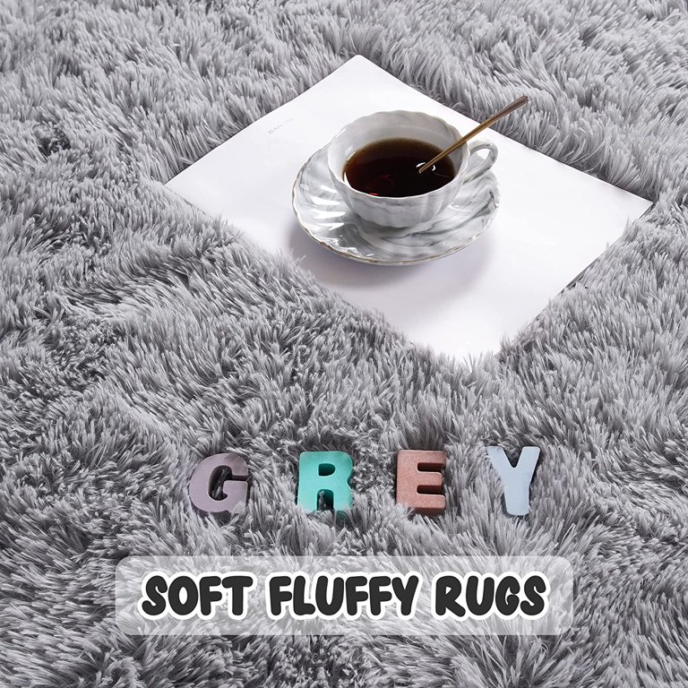 Homore Modern Shaggy Velvet Carpet for Living Room, 4' x 5.3' , Gray