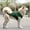 Dark Green, variant on Pet Vests for Dogs and Cats Pet Tank Top, Easy-On Sleeveless Shirt for Small, Medium & Large Breeds, Perfect for Casual Wear & Warm Days