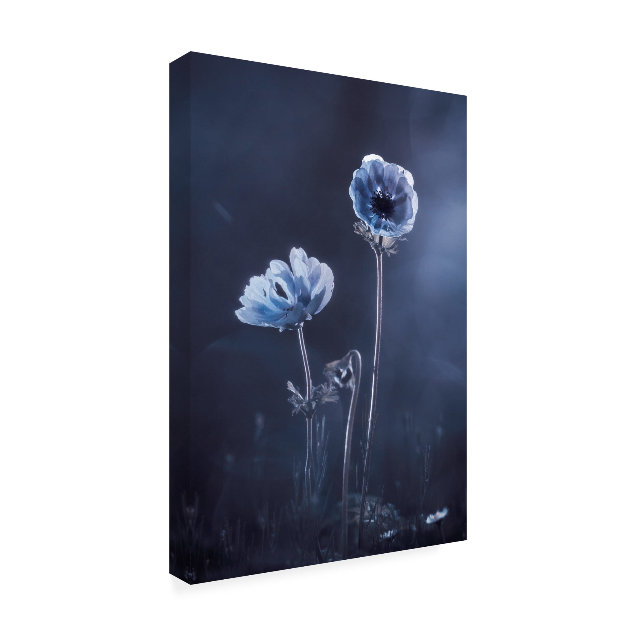 Canvas Wall Art - Fabien Bravin 'Meanwhile, Oustide Walls' Wall Art for Living Room, Bedroom, or Office Décor by Trademark Fine Art - 30 x 47 Inches