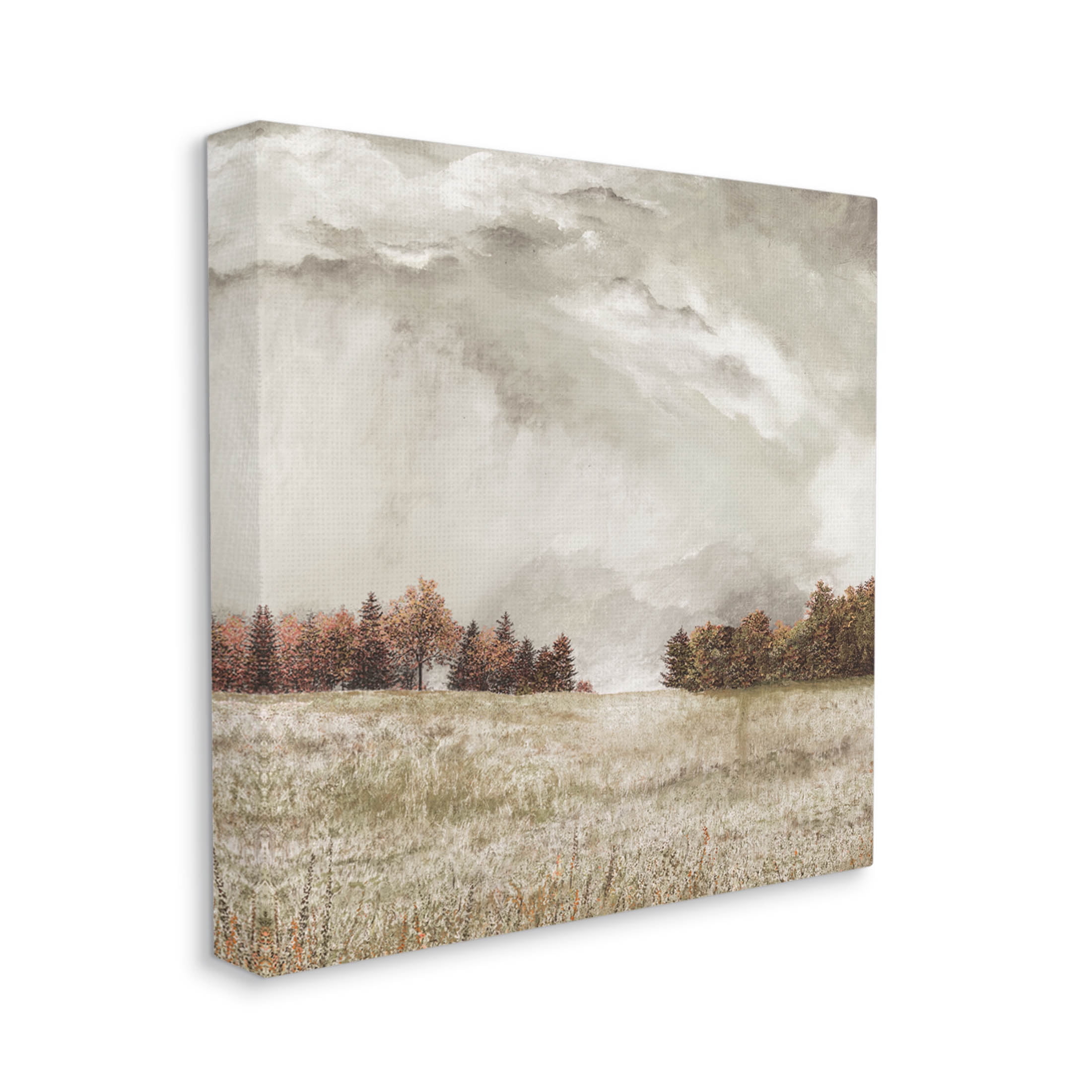 Rural Cloudy Countryside Meadow Landscape Graphic Art Gallery Wrapped Canvas Print Wall Art