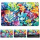 thumbnail image 1 of Pegatinas para tarjetas de crédito y débito, diseño de suculentas coloridas, resistentes al agua, a los arañazos y atractivas. 4 estilos personalizados para tarjetas de transporte., 1 of 8