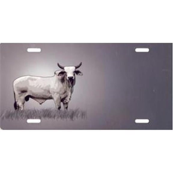 212 Main SM752 6 x 12 in. Offset Cow on Gray License Plate