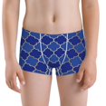 thumbnail image 5 of Yiaed Blue Gold Grid Lantern Shapes Print Boys' Boxer Briefs Cotton Casual Stretch Comfort Boys Boxers - Kids Boxer Briefs Underwear for Boys (6-18)-X-Large, 5 of 5
