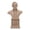 Sandstone, variant on LibertyFounders Eagle General Bust Statue, Sandstone Patriotic Bald Eagle Military Figurine, Resin Sculpture for Office & Home, 4th of July Decor