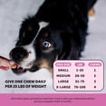 thumbnail image 4 of Multivitamínico para perros Pet Honesty 10 en 1 Health & Heart, 180 unidades, 4 of 8