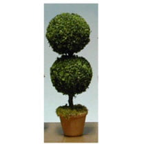 Miniature Dollhouse FAIRY GARDEN Terrarium ~ 4 TINY Round Topiary Bush Picks 