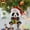 F, variant on Panda with Santa Hat Christmas Ornaments 2D Acrylic Cute Cartoon Xmas Tree Hanging Decorations for Holiday Party New Year Supplies Home Decor and Panda Lover Gifts, 6PCS