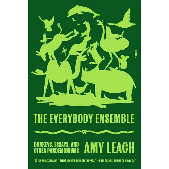 The Everybody Ensemble: Donkeys, Essays, and Other Pandemoniums, (Paperback)