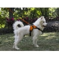 thumbnail image 4 of LUXMO No Pull Reflective Adjustable Dog Harness with Handle for Small Medium Large Dog, 4 of 7