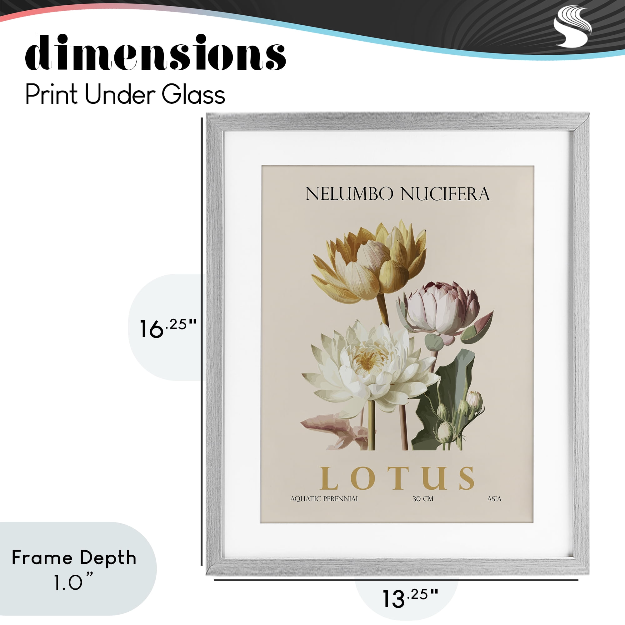 Stupell Industries Natural Lotus Bundle Gray Framed Print Under Glass, design by Christopher Giampietro