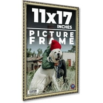 11x17 Frame Silver Solid Wood Picture Frame Width 1.125 Inches | Interior Frame Depth 0.375 Inches
