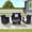 Dark Blue, variant on Leumius 4 Piece Patio Furniture Set,Outdoor Patio Furniture Set All-Weather Rattan Wicker Patio Conversation Set with Tempered Glass Coffee Table & Cushions for Garden & Backyard,Dark Blue