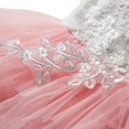 thumbnail image 1 of Niñas Fluffy Cake Smash vestidos para niños pequeños encaje sin espalda boda cumpleaños fiesta bautismo princesa vestido niños Cl, 1 of 2