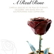 Forever Rose Enchanted Rose, a Genuine, One of a Kind, Real Burgundy Rose, Hand Dipped in Lacquer with a Copper Stem and Leaves, Beauty and The Beast