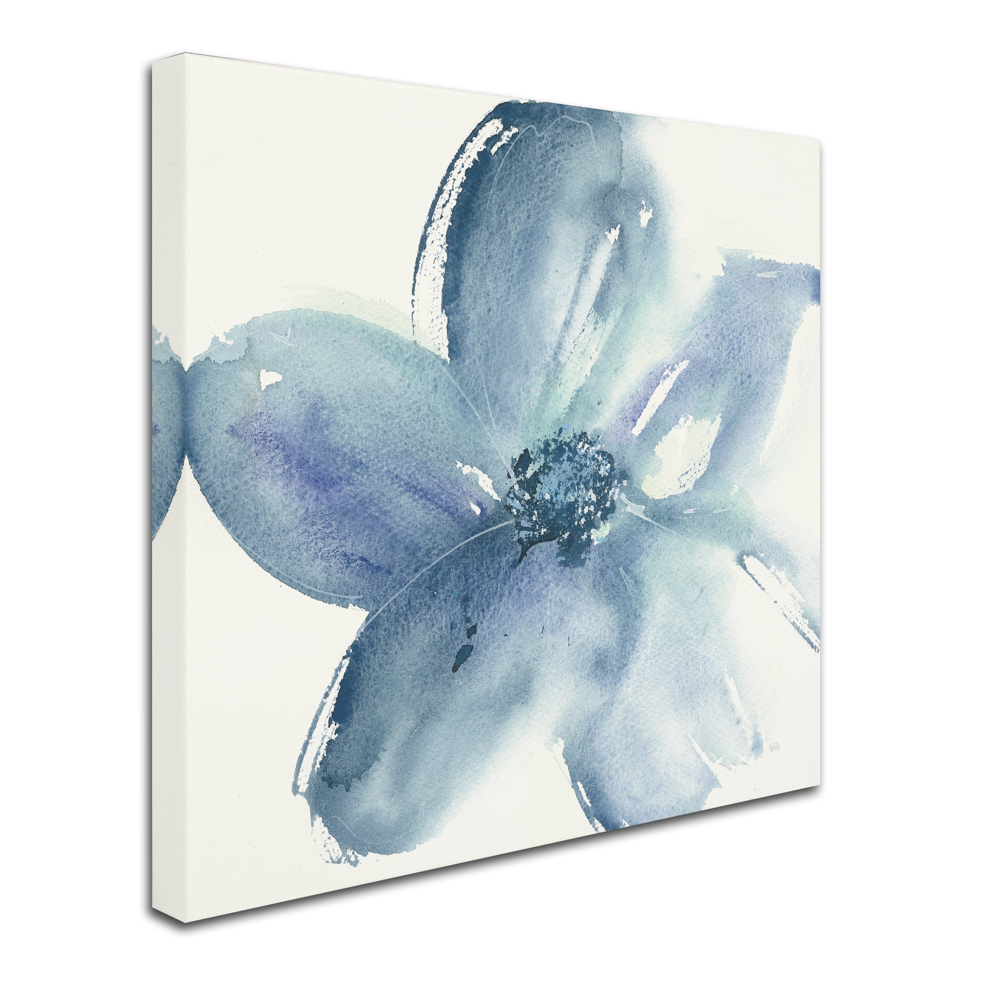 Trademark Fine Art 'Indigo Mint I' Canvas Art by Chris Paschke