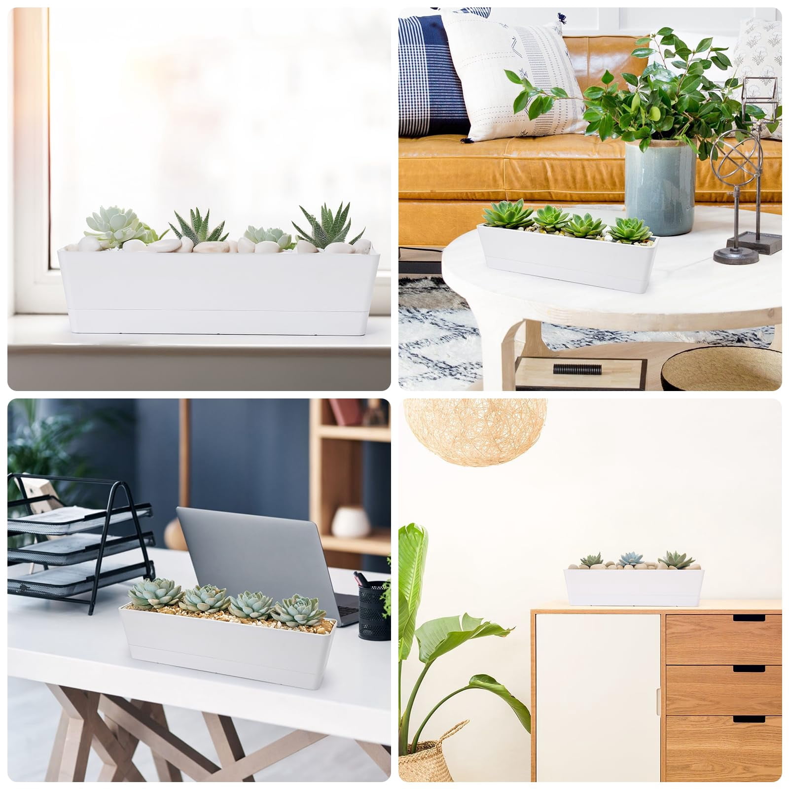 16x3.8 Inch Window Box Planter with Tray, Lightweight Plastic Rectangle Pot for Succulent Cactus, Flower, Vegetable, Herb Gardening, Indoor Outdoor Use