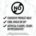 thumbnail image 3 of Nutro Grain Free Tender Beef Paté Adult Wet Dog Food, 3 of 6