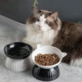 Elevated Cat Bowl Adjustable Black & White Detachable Raised