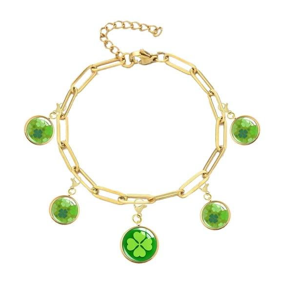 Lucky Charm Bracelet Box Set with 1 Bracelet and 5 Interchangeable Charms