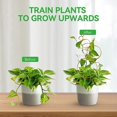 thumbnail image 2 of 2Pcs Climbing Frame Metal Turtle Planter Bracket Easy Install Garden Climbing Frame for Beautiful Healthy Plants Black One Size, 2 of 12