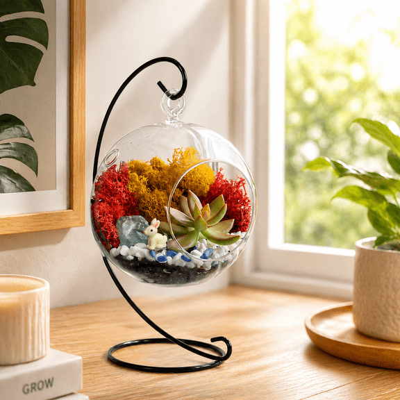 Creations by Nathalie DIY Terrarium Kit: Mini-Ecosystem with Glass Globe, Moss, Crystals & Rocks - Easy Assembly - Ideal Nature Lover Gift - No Plant - USA Made