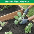 thumbnail image 6 of Miracle-Gro 4 x 8 x 1 ft Wrangler Brown/Cedar Wood 2-Tier Raised Garden Bed, 6 of 10