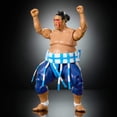 thumbnail image 2 of WWE x Street Fighter Yokozuna Action Figure & Accessories, 6-inch Collectible E Honda Mashup Set, 2 of 6