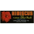 thumbnail image 2 of Anonymous 14x8 Gold Ornate Wood Frame and Double Matted Museum Art Print Titled - Hibiscus Brand Florida Citrus Fruit Label (1930-1950), 2 of 4