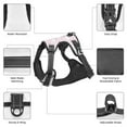 thumbnail image 6 of Lsque Cute Panda Dog Harness, No-Pull Pet Harness with 2 Leash Clips, Adjustable Soft Padded Dog Vest with Easy Control Handle for Large Dogs-Medium, 6 of 9