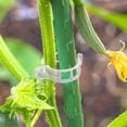 thumbnail image 4 of Support 100Pcs Reusable Garden For Climbing Adjustable Vine For Tomatoes Cucumbers Vines To Grow Garden Cl, 4 of 6