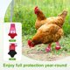 thumbnail image 5 of Uxcell 1-Par de Zapatos para Pollos, Botas Antideslizantes de Malla para Pies de Gallinas/Gallo Uso Interior Exterior [Rosa-rojo, Tamaño M], 5 of 6