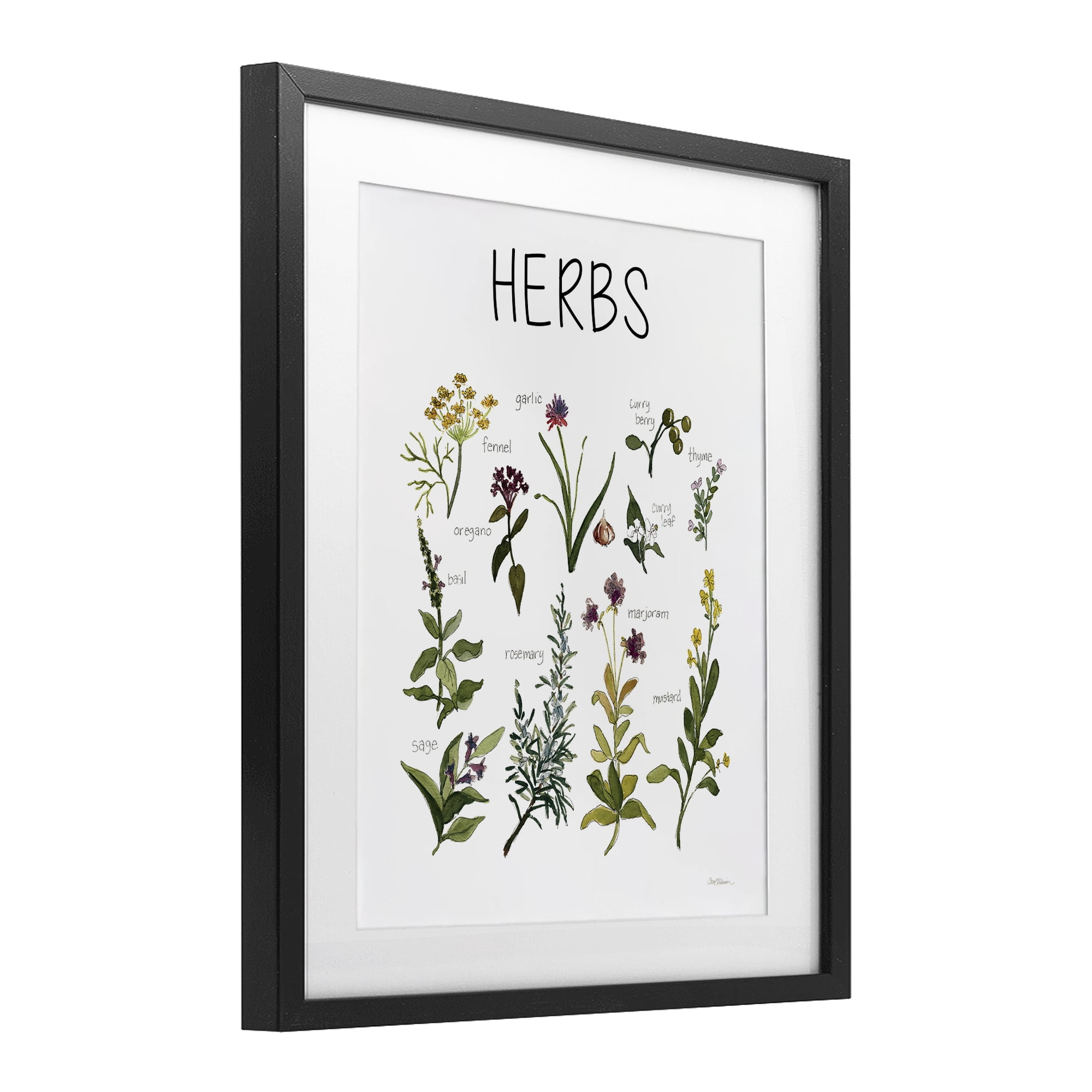 Stupell Industries Herbs Identification Chart Black Framed Print Under Glass, design by Carol Robinson