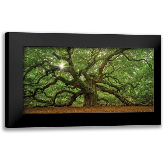 Levy, Moises 14x9 Black Modern Framed Museum Art Print Titled - The Tree