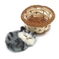 thumbnail image 2 of Coolayoung 2 Piezas Gato Durmiendo En Cesta Muñeca Juguete Mini Gatito En Cesta Tejida Con Sonidos De Maullidos Decoración Para Escritorio De Oficina Juguete De Mano Regalo Para Niños Niñas, 2 of 5