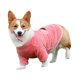 thumbnail image 5 of 2 ropa divertida de dibujos animados para mascotas Teddy Sherry Than Bear Corki ropa para perros pequeños y medianos en invierno perros alrededor de 3-5 Catties, 5 of 5
