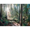 thumbnail image 2 of Hastie, Joanne 14x12 Black Ornate Wood Framed with Double Matting Museum Art Print Titled - Forest Light, 2 of 4