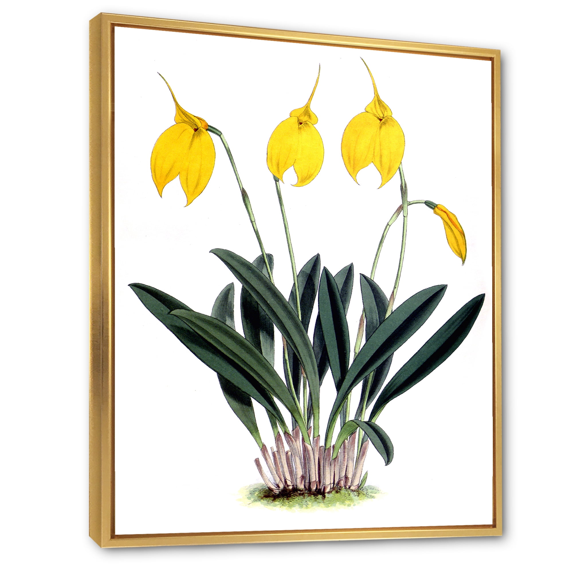 Designart 'Orchid Retro Flowers' Farmhouse Framed Canvas Wall Art Print