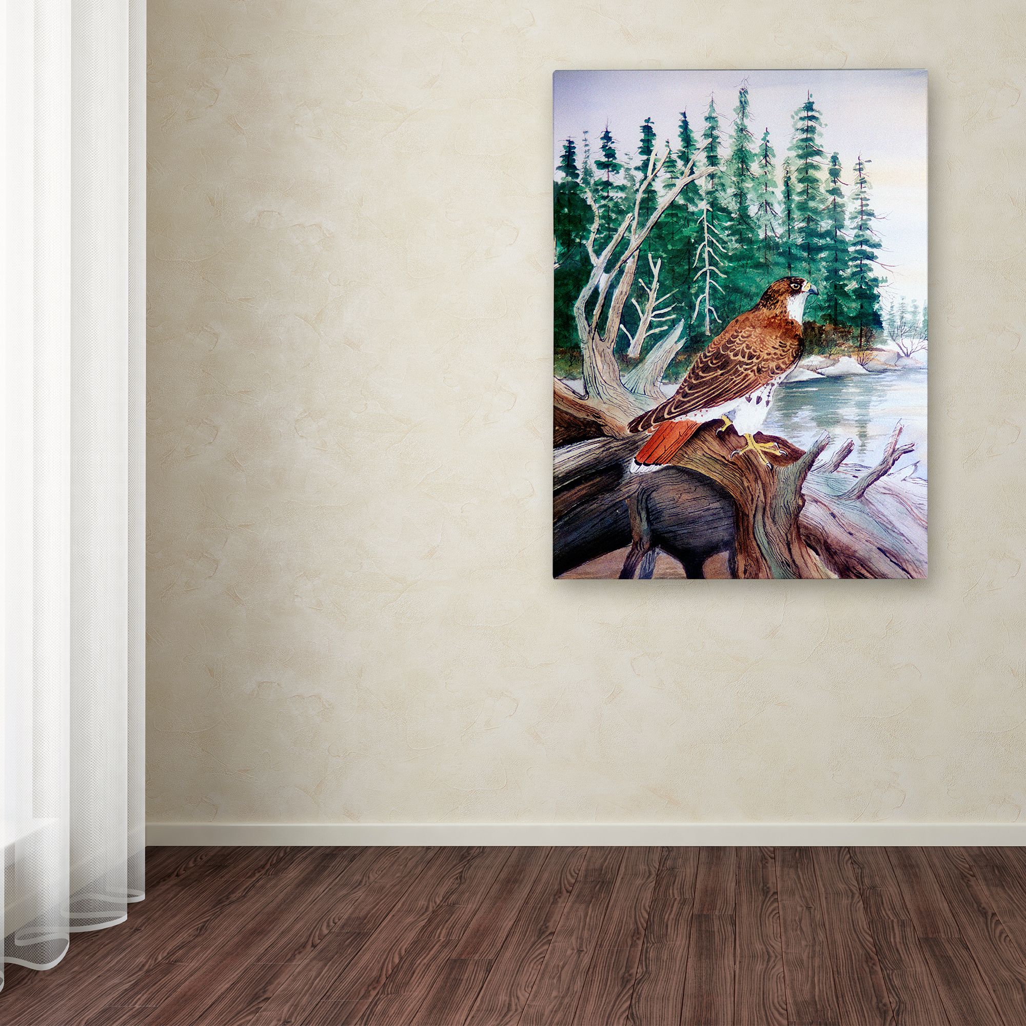 Trademark Fine Art 'Red Tailed Hawk' Canvas Art by Arie Reinhardt Taylor