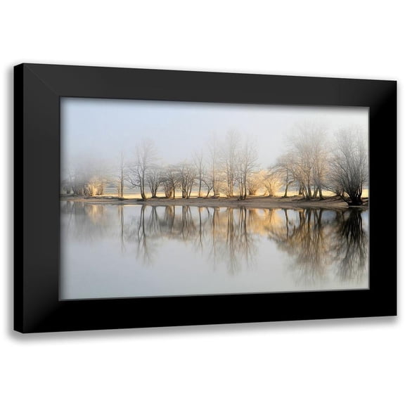Bor 14x11 Black Modern Framed Museum Art Print Titled - january morning