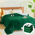 thumbnail image 2 of PMONPA Electric Heated Blanket, Flannel & Sherpa Heating Blanket for Adult, Fast-Heating with 10 Heat Levels 5 Time Settings (63"x85", Green), 2 of 6
