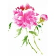 thumbnail image 2 of Parker, Nan Rae 19x24 White Modern Wood Framed Museum Art Print Titled - Peonies in Pink I, 2 of 4